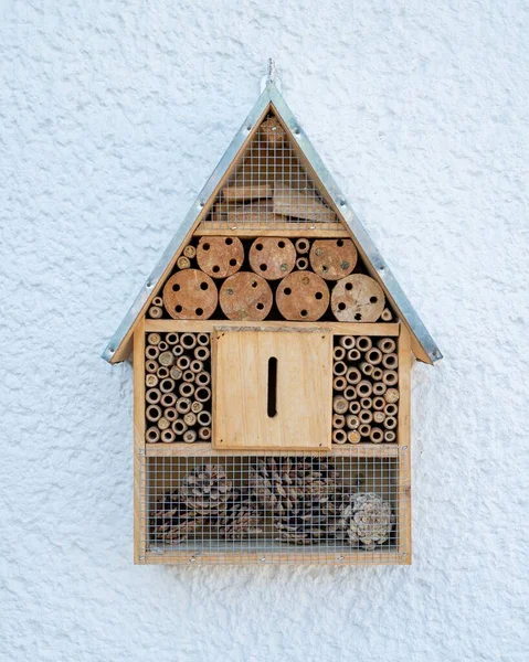 Plan Rapproché Hôtel Insectes Bois Avec Différentes Sections Sur Fond — Photo