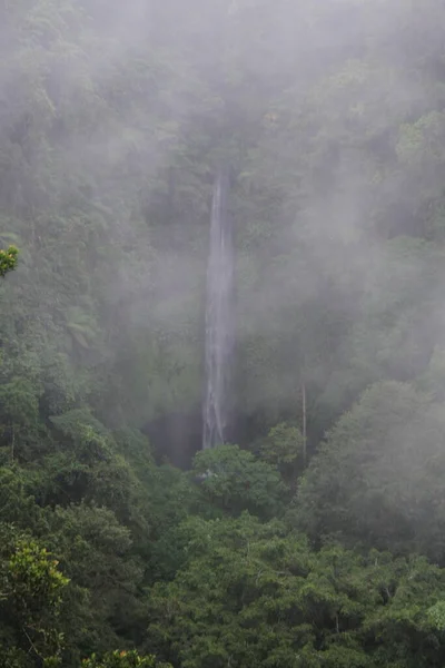 Eine Vertikale Aufnahme Eines Plätschernden Wasserfalls Durch Bemooste Felsen Einem — Stockfoto