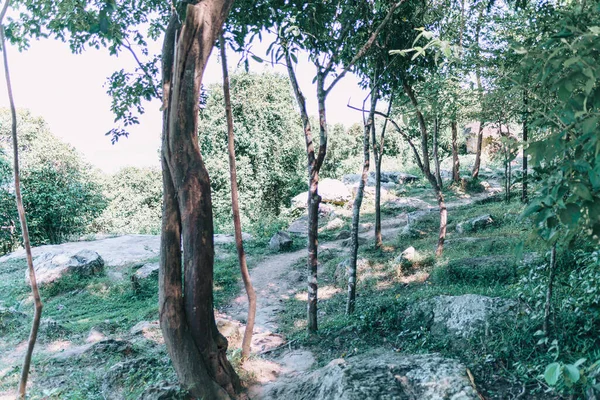 Bir Hin Chang Bakış Açısı Nam Phong Ulusal Parkı — Stok fotoğraf