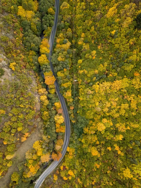 Drone View Bright Autumn Forest Bulgaria — Stock Photo, Image