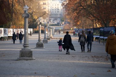 Slovenya 'da sonbaharda parkta yürüyen insanların huzurlu manzarası