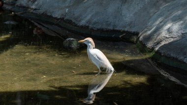 Gölde bir balıkçılın yakın çekimi.