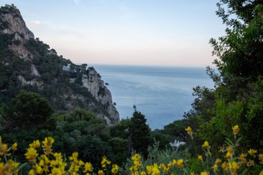 Sakin bir denizin ve mavi gökyüzünün altındaki engebeli orman dağlarının çarpıcı manzarası.