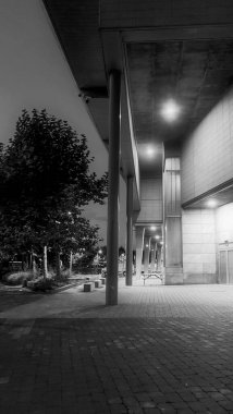 Gece vakti siyah beyaz bir bahçenin dikey görüntüsü.