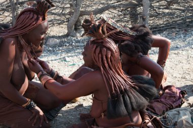 Himba kabilesinden bir grup kadın Namibya 'da birbirlerinin saçlarını örüyorlar.