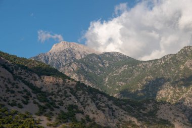 Ağaçlı kumlu bir dağın güzel manzarası