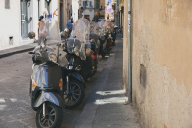 Fransız caddesinde bir sıra bisiklet. Paris, Fransa