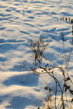 Karlı zemin ve kuru çimenlerin dikey yakın çekimi