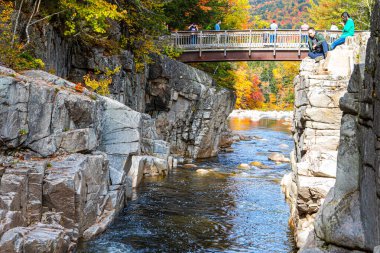 İki tepeyi birbirine bağlayan ve ormanla çevrili bir nehrin üzerinden geçen bir köprünün manzaralı görüntüsü.