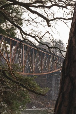 Pilchowickie Gölü üzerinde eski ahşap bir demiryolu köprüsü.