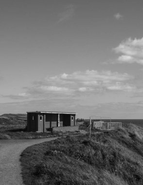 Siyah ve beyaz olarak ormanın yakınındaki bir yolun dikey görüntüsü.