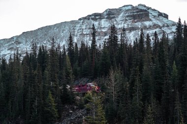 Jasper, Kanada 'da dağların ve ağaçların arasından geçen bir tren görüntüsü.