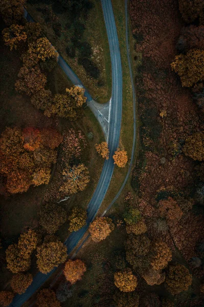 Die Vertikale Luftaufnahme Einer Herbstautobahn — Stockfoto