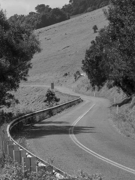 Plano Vertical Una Carretera Construida Cerca Del Bosque Blanco Negro — Foto de Stock