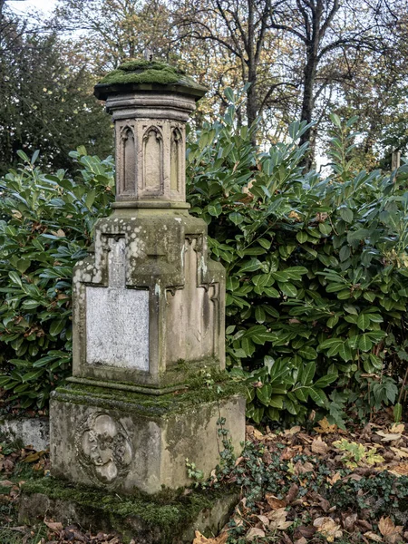 Vertikální Záběr Mechového Hrobu Hřbitově — Stock fotografie