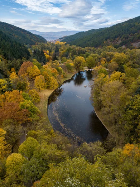 Прекрасний Вид Осінній Пейзаж Деревами Озером Сонячний День — стокове фото