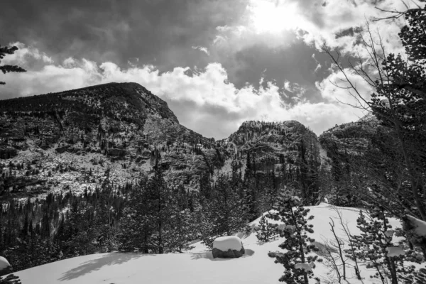 Grayscale Shot Snow Covered Forest Mountains Cloudy Sky — Stock Photo, Image