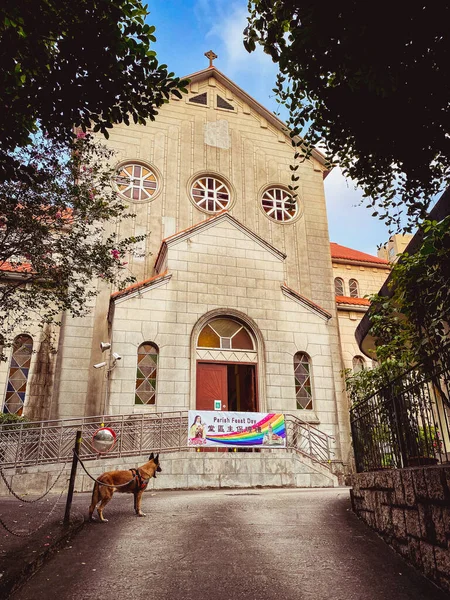 Kowloon Hong Kong Daki Aziz Teresa Kilisesi Nin Dikey Görüntüsü — Stok fotoğraf