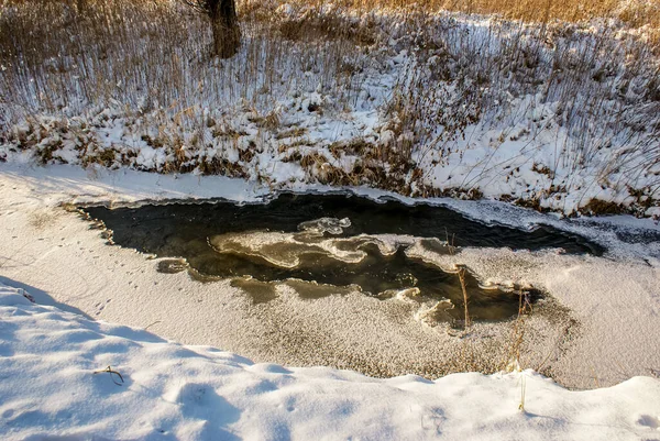 Malebný Pohled Zamrzlou Řeku Lese Zimě — Stock fotografie