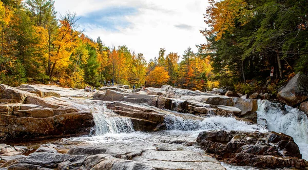 秋の森に囲まれた滝の景勝地 — ストック写真