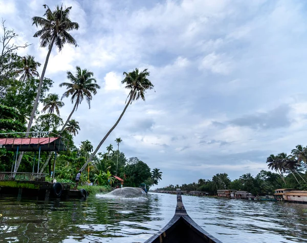 Kıyılarında Palmiye Ağaçları Olan Sakin Bir Nehirde Seyreden Bir Teknenin — Stok fotoğraf