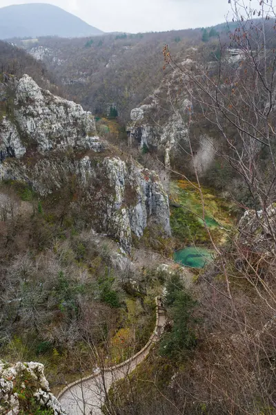 Естественный Вид Плитвицкие Водопады Хорватии Белым Небом — стоковое фото
