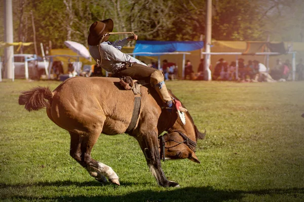 Jovem Macho Montando Cavalo Campo — Fotografia de Stock
