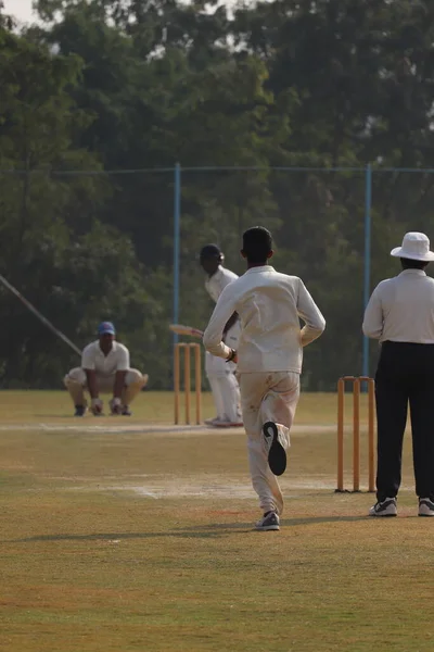 Крупним Планом Матч Крикету Хайдарабаді Колаж — стокове фото