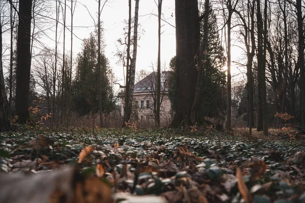 Krásný Záběr Velký Dům Obklopený Stromy — Stock fotografie