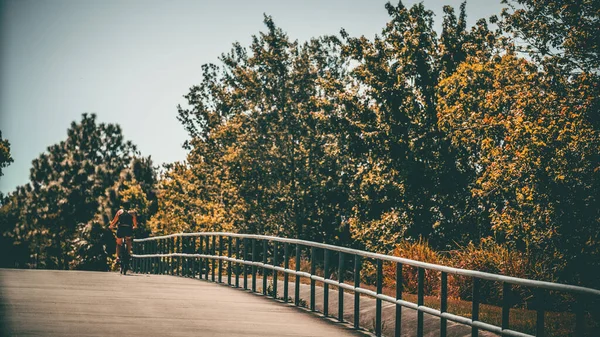 Человек Катающийся Велосипеде Велосипедной Дорожке Окружении Красивых Деревьев — стоковое фото