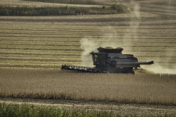 Dusty Combine Harvesting Soybean Field Sioux Center Iowa — Stock Photo, Image