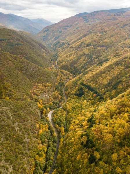 Άποψη Drone Για Φωτεινά Δάση Του Φθινοπώρου Στη Βουλγαρία — Φωτογραφία Αρχείου