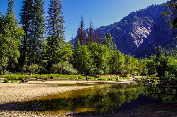 Piękny Strzał Futra Drzewa Odbijają Wodzie Górami Yosemite Narodowym Parku — Zdjęcie stockowe