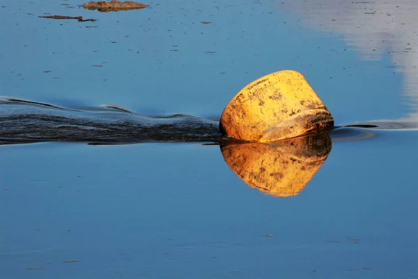 Eine Alte Verlassene Plastikdose Kommt Aus Dem Wasser — Stockfoto