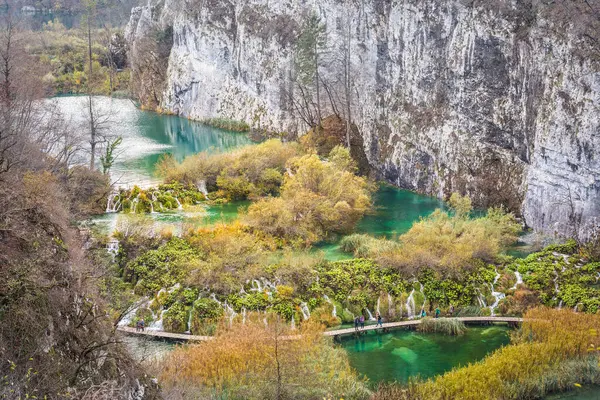 Uma Vista Panorâmica Calmo Lago Plitvice Com Primeiro Plano Árvores — Fotografia de Stock
