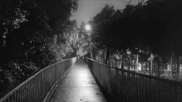 Una Bella Vista Giardino Notte Bianco Nero — Foto Stock