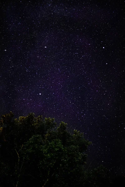 Ein Schöner Blick Auf Den Nachthimmel Von Tennessee — Stockfoto