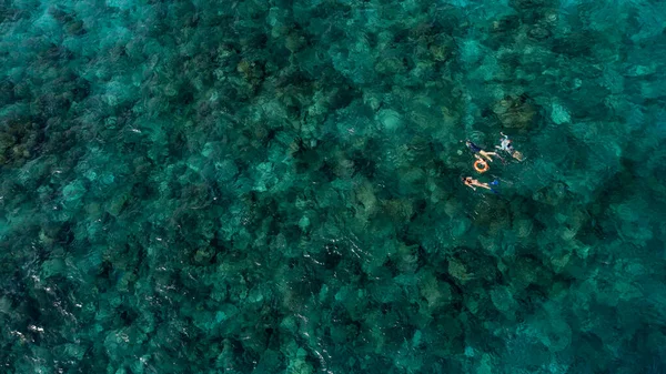 Una Vista Aérea Surfista Nadando Agua Tranquila — Foto de Stock