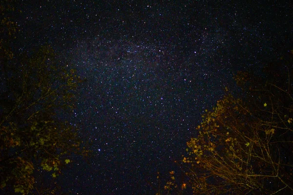 Ein Schöner Blick Auf Den Nachthimmel Von Tennessee — Stockfoto