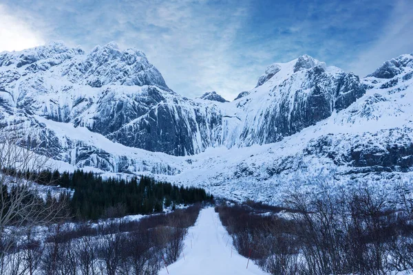 Vacker Bild Ett Landskap Täckt Snö Vintern — Stockfoto