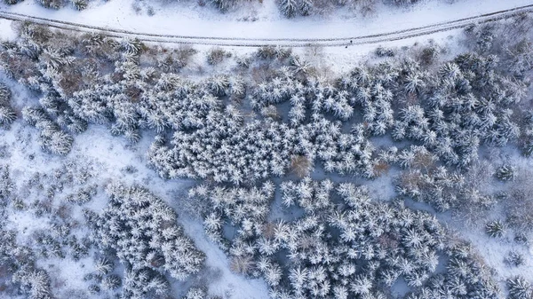 Ένα Πλάνο Υψηλής Γωνίας Ενός Όμορφου Δάσους Χειμώνα — Φωτογραφία Αρχείου