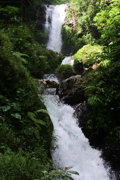 Eine Vertikale Aufnahme Eines Schönen Wasserfalls Einem Wald Umgeben Von — Stockfoto