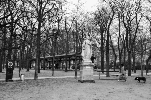 冬の間 フランスのパリのルクセンブルク庭園のグレースケールショット — ストック写真