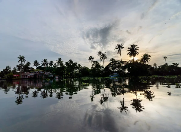 Gün Batımında Sakin Yüzeyine Yansıyan Palmiye Ağaçlarının Manzarası — Stok fotoğraf