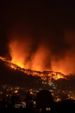 Güçlü bir ateş ormanın içinde bir kasabanın yakınına yayılıyor.