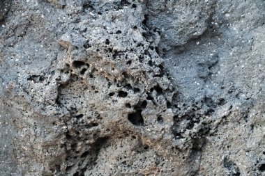 Hawaii, Kaena Point 'te volkanik kayaya yakın çekim