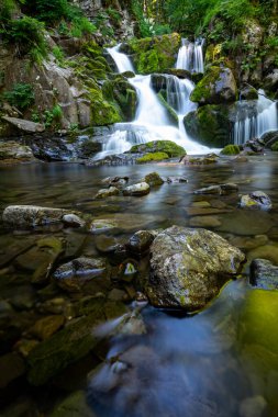 Yosun kayalarıyla çevrili güzel şelalenin dikey görüntüsü..