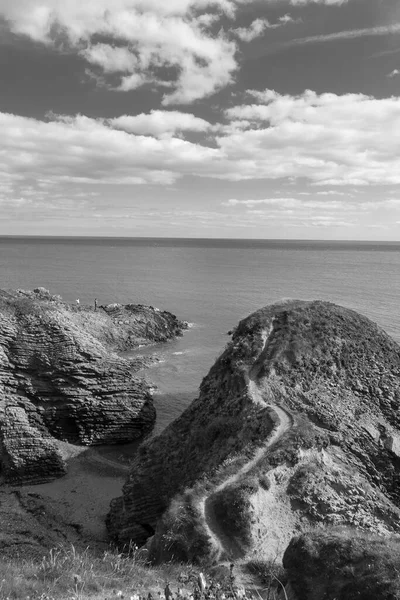 Vertical Shot Sea Sunny Day Summer Black White — Stock Photo, Image