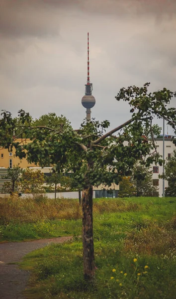 Vertical Shot Fernsehturm Berlin Cloudy Sky Germany — Stock Photo, Image