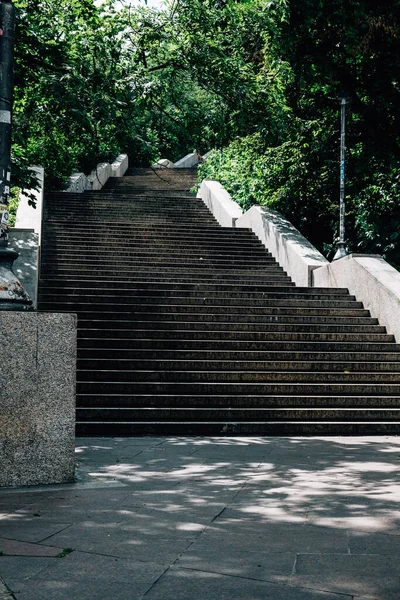 Vertical Shot Some Stairs Forest Day — Stock Photo, Image